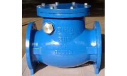 英標止回閥 BS5153SWING CHECK VALVE